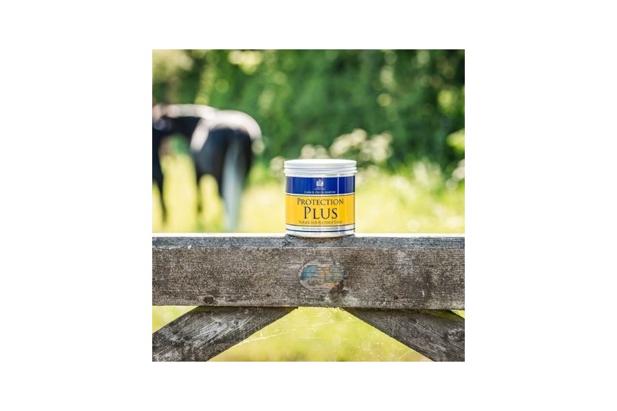 Carr Day Protection Plus 500 Ml