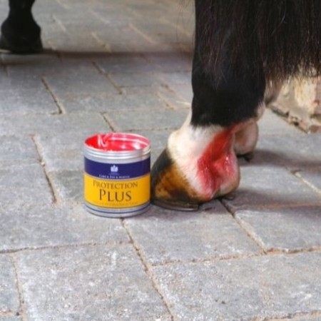 Carr Day Protection Plus 500 Ml 2