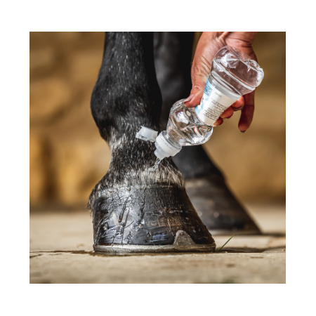 Carr & Day Aceite Cornucrescine Hoof Barrier 500 ml | Calvet Animals i 2