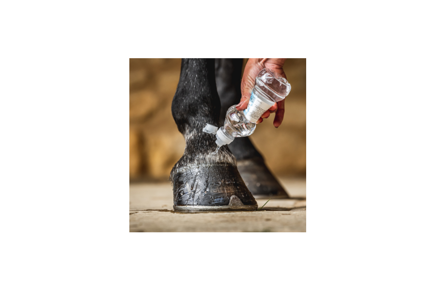 Carr & Day Oli Cornucrescine Hoof Barrier 500 ml | Higiene i Cura