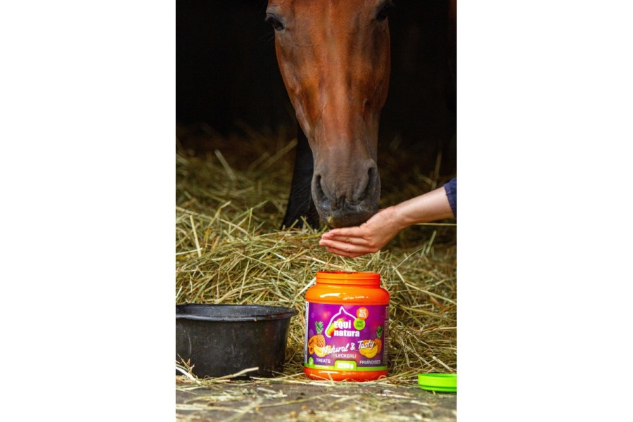 Premis Cavall Equinatura Plàtan/Pinya/Papaia 2,25 Kg |Cavall i Genet a