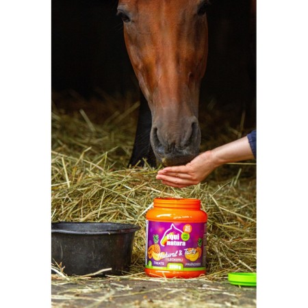 Premis Cavall Equinatura Plàtan/Pinya/Papaia 2,25 Kg |Cavall i Genet a