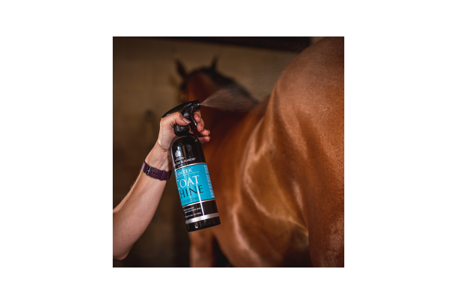 Carr&Day Canter Abrillantador 600 Ml |Cavall i Genet a Equestrian, Calvet