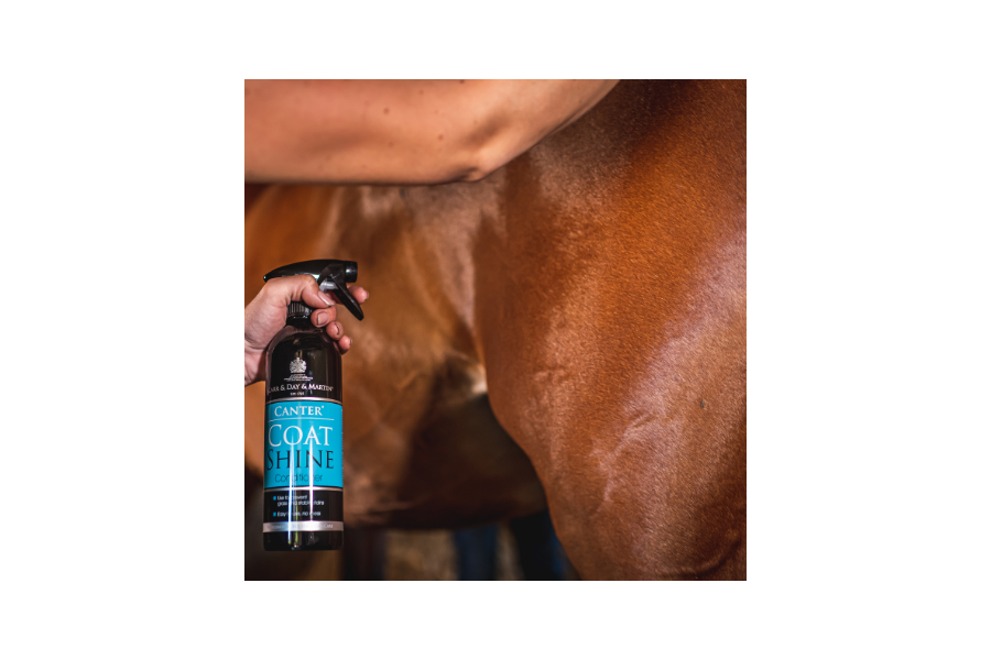 Carr&Day Canter Abrillantador 600 Ml |Cavall i Genet a Equestrian, Calvet