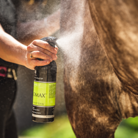 Carr&Day Repelent Flygard CITROMAX 500 Ml |Cavall i Genet a Equestrian
