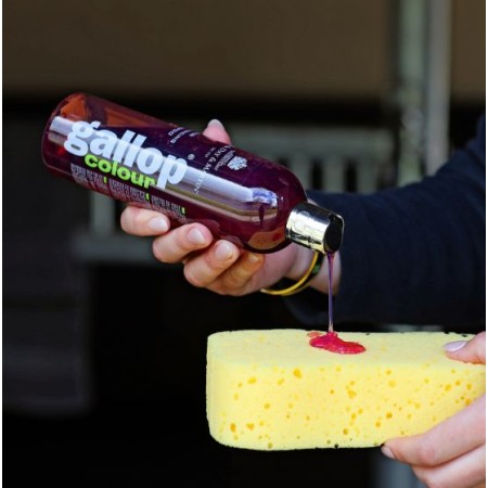 Carr Day Dream Coat Xampú Cavalls Castanys 500ml |Cavall i Genet a