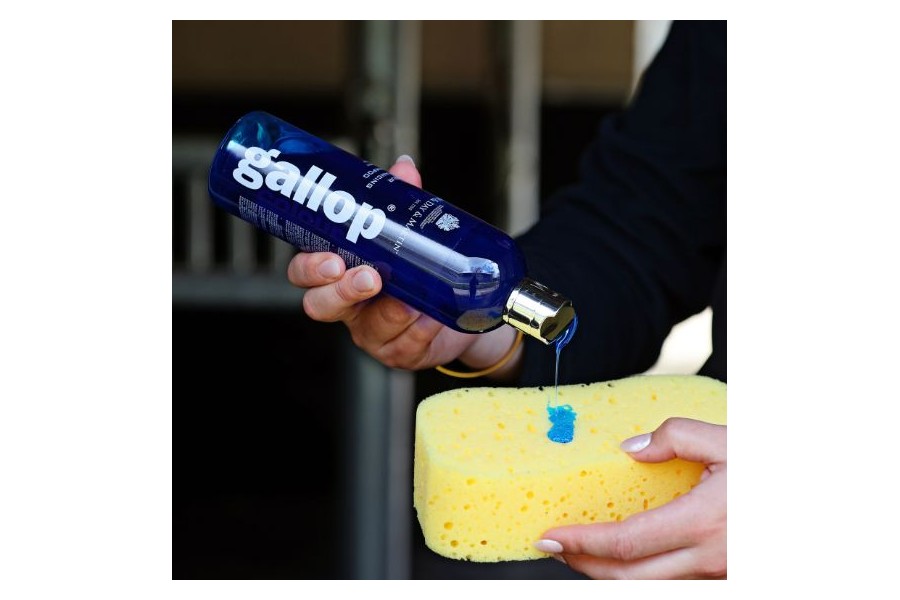 Carr Day Dream Coat Xampú Cavalls Tordos 500ml |Cavall i Genet a