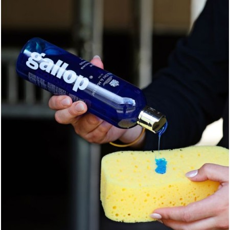 Carr Day Dream Coat Xampú Cavalls Tordos 500ml |Cavall i Genet a