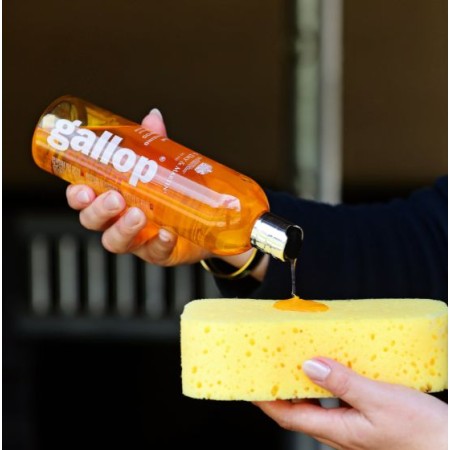 Carr Day Dream Coat Champú Palomino 500ml | Equestrian. Calvet Animals i 2