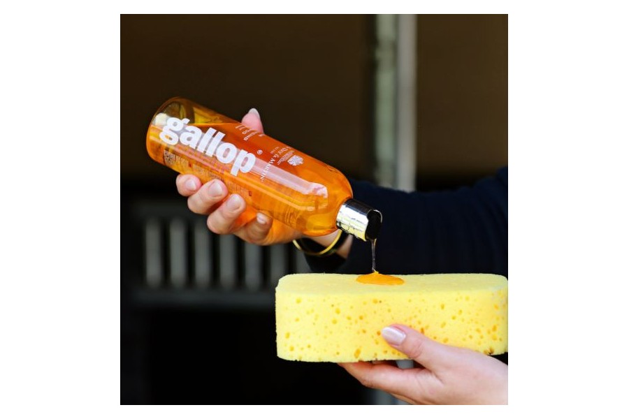 Carr Day Dream Coat Champú Palomino 500ml | Equestrian. Calvet Animals i