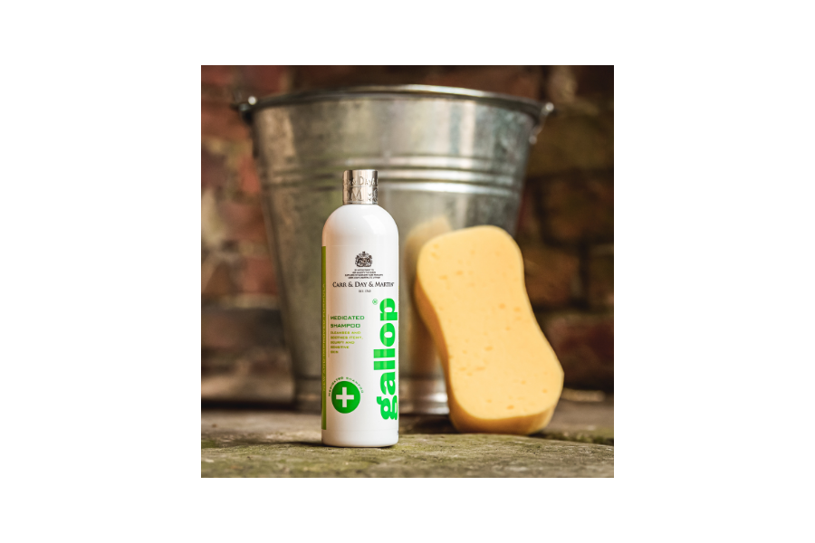 Carr Day Xampú Problemes Pell 500ml |Cavall i Genet a Equestrian, Calvet