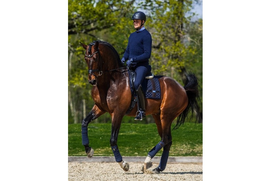 Sudadero Doma Equestrian Stockholm Leather...