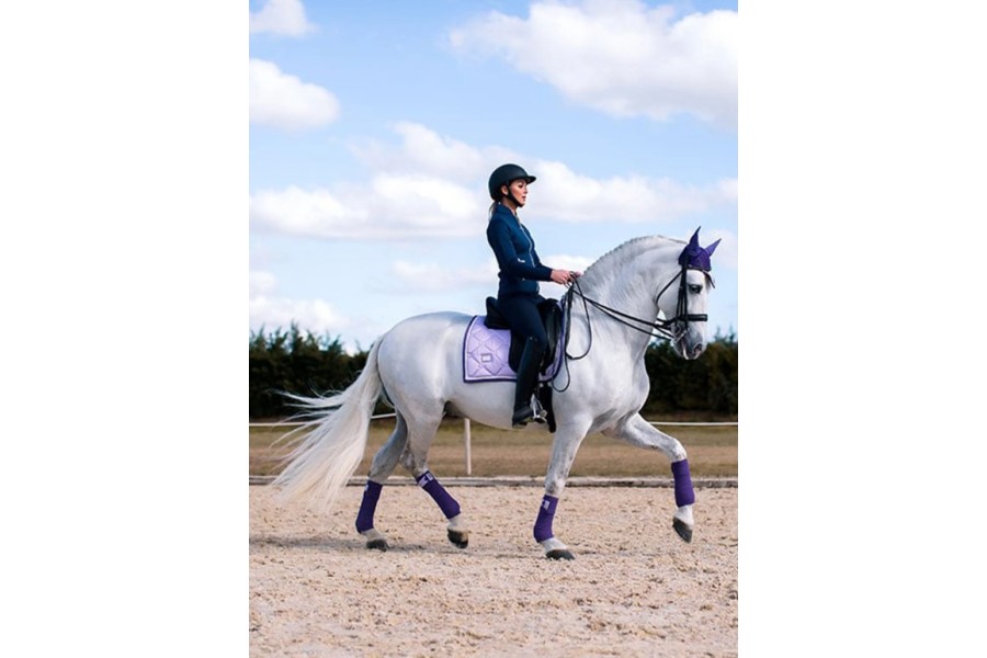 Suador Doma Equestrian Stockholm Lavander