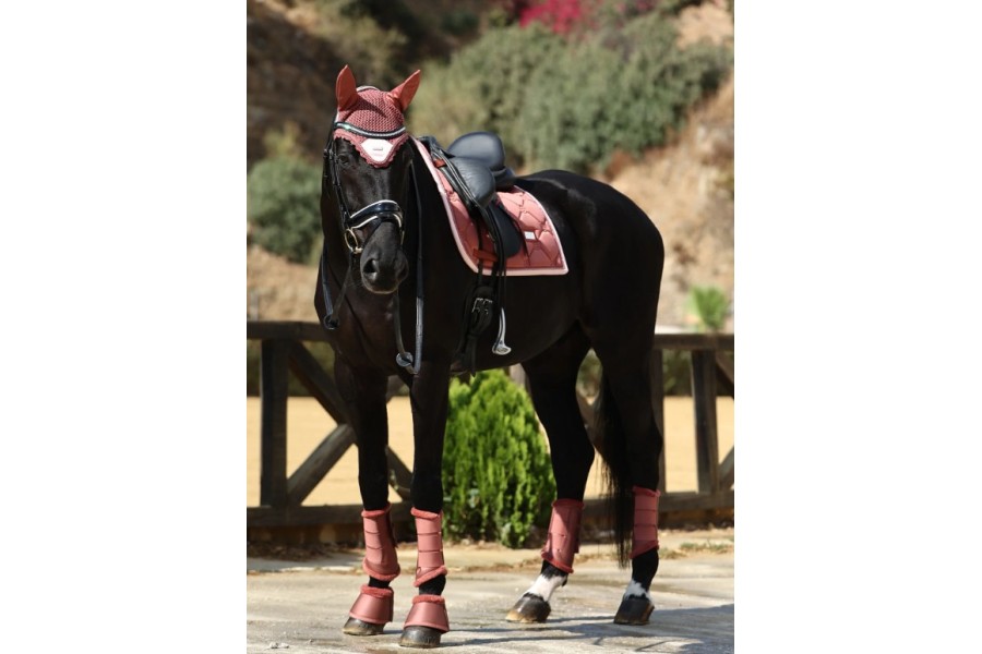 Sudadero Doma Equestrian Stockholm Amber Rose