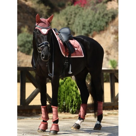 Suador Doma Equestrian Stockholm Amber Rose