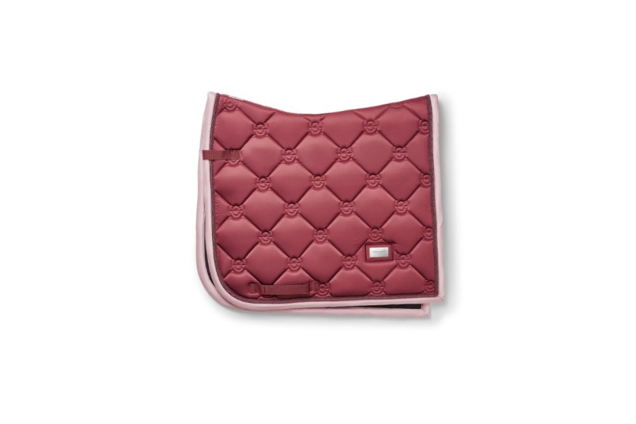 Suador Doma Equestrian Stockholm Amber Rose