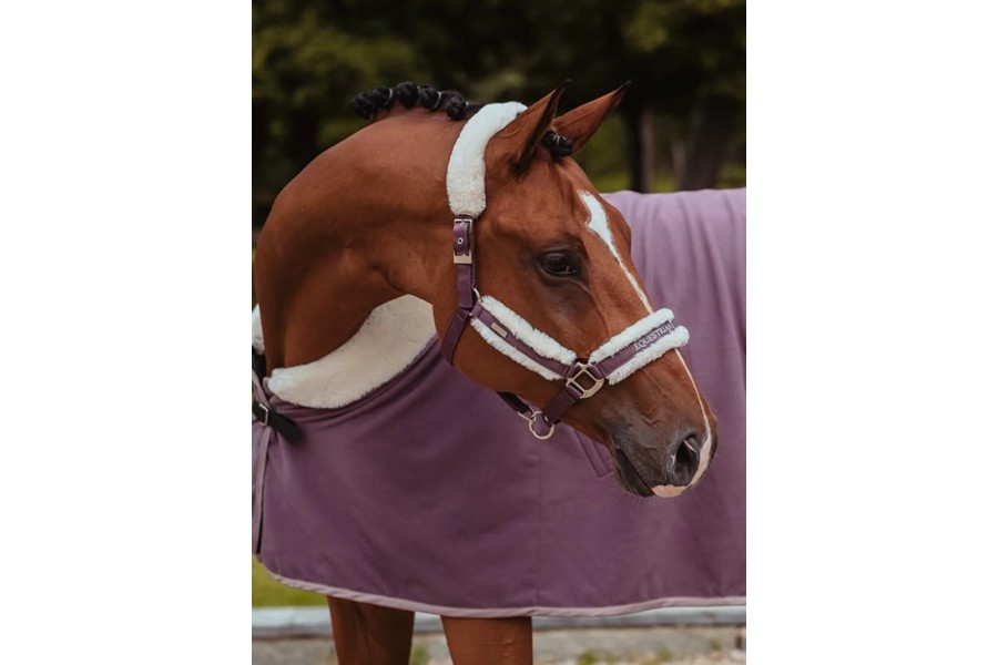 Morralla Quadra Equestrian Estockholm + Ramal...