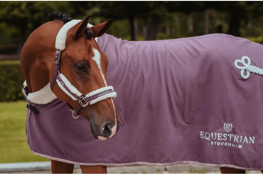 Morralla Quadra Equestrian Estockholm + Ramal...