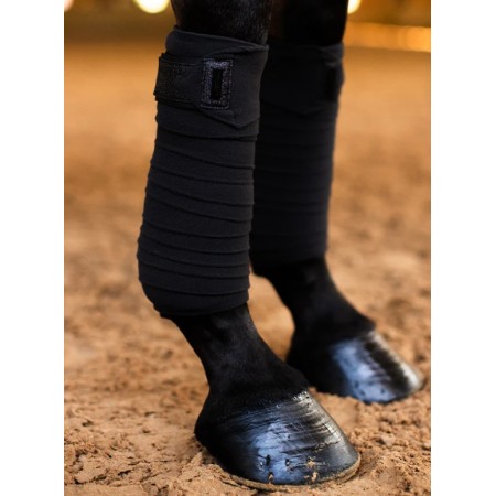 Benes Polar Equestrian Stockholm All Black Glimmer 2