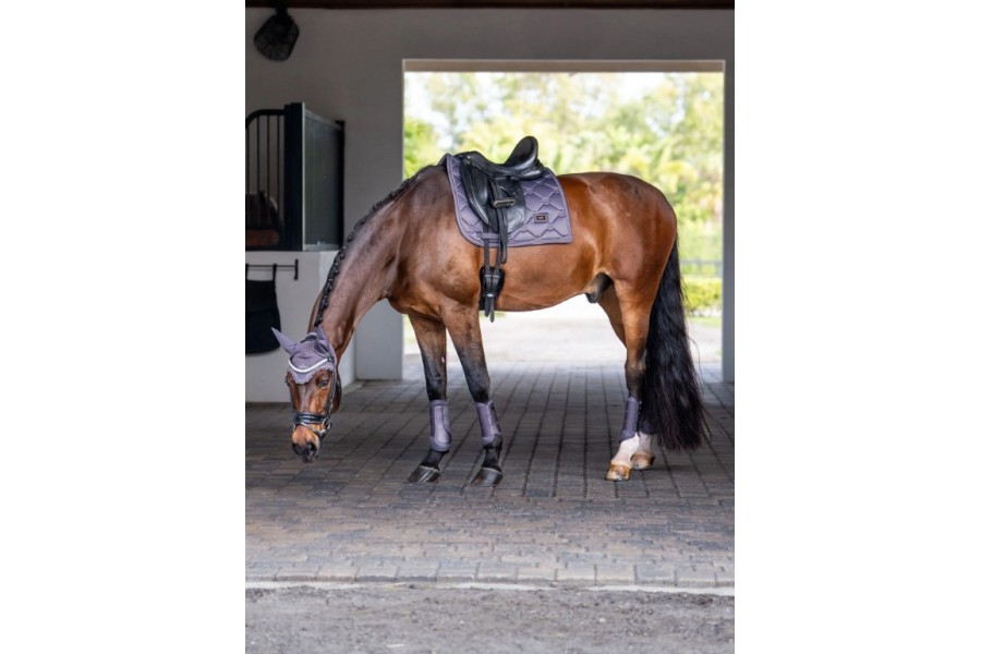 Sudadero Doma Equestrian Stockholm Dark Violet