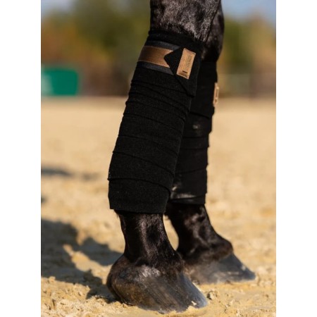 Benes Polar Equestrian Stockholm All Golden Brass 2