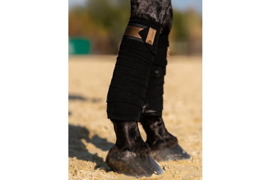 Benes Polar Equestrian Stockholm All Golden Brass