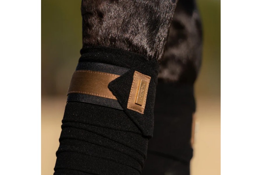 Vendas Polar Equestrian Stockholm All Golden Brass