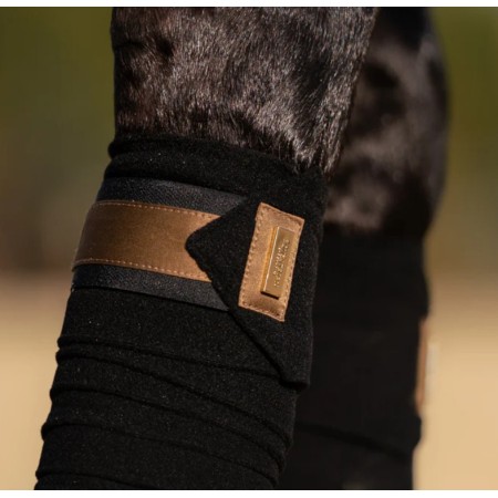 Benes Polar Equestrian Stockholm All Golden Brass