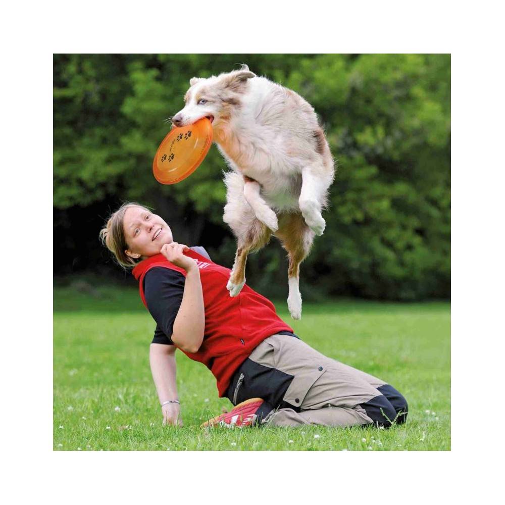 Juguete Perro Disco Plástico 19 Cm para perros | Calvet Animales y Plantas