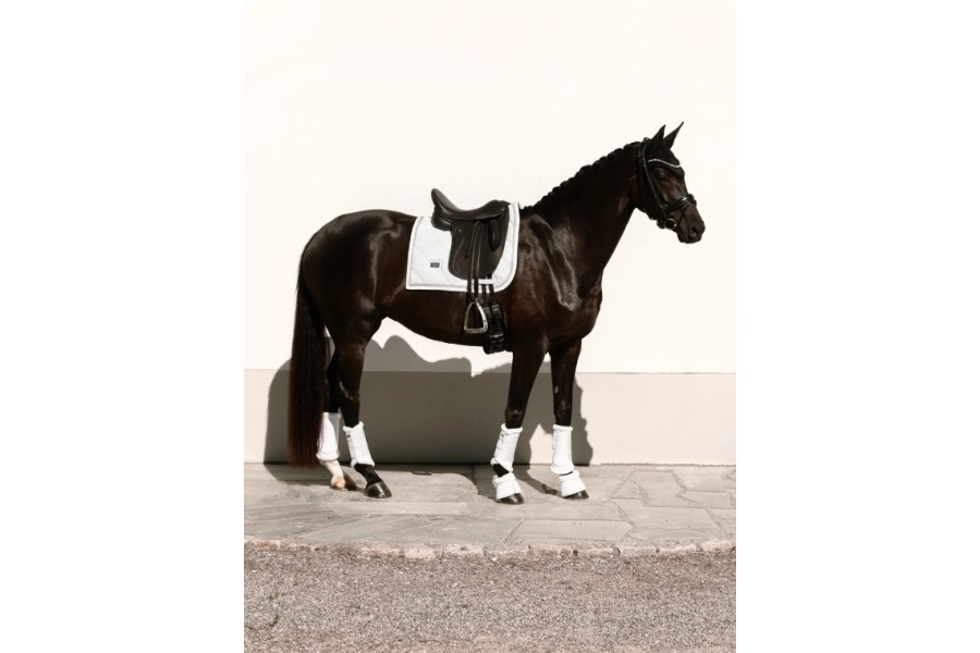 Suador Doma Equestrian Stockholm Crystal White...