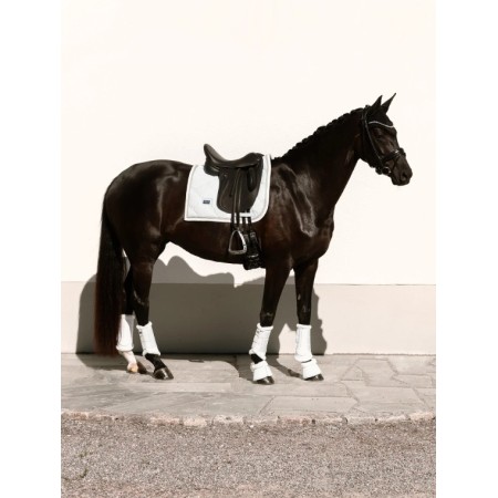 Suador Doma Equestrian Stockholm Crystal White Glimmer