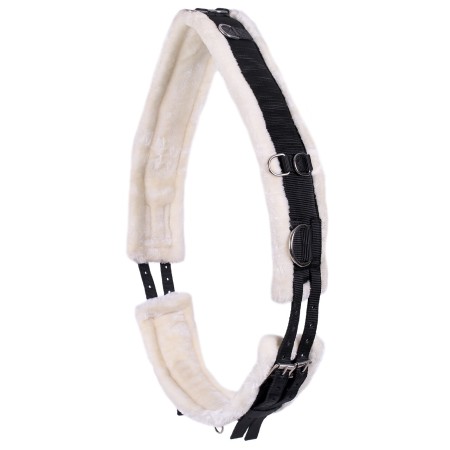 Cinchuelo QHP Ontario Negre | Cavalls