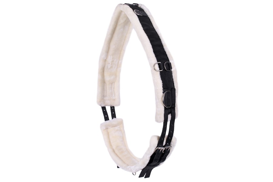 Cinchuelo QHP Ontario Negro | Caballos