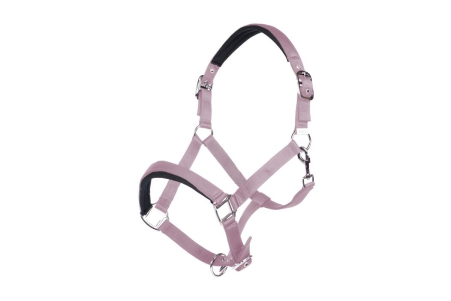 Cabezada Cuadra HKM Catherine Malva | Cabezadas para caballos