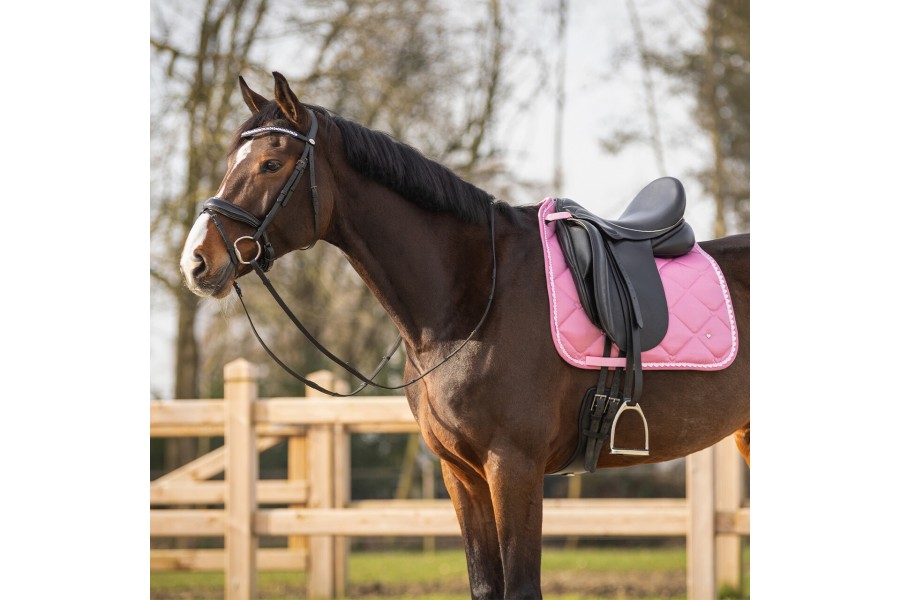 Suador Doma QHP Lyvia Rosa | Complements selles de muntar per a cavalls