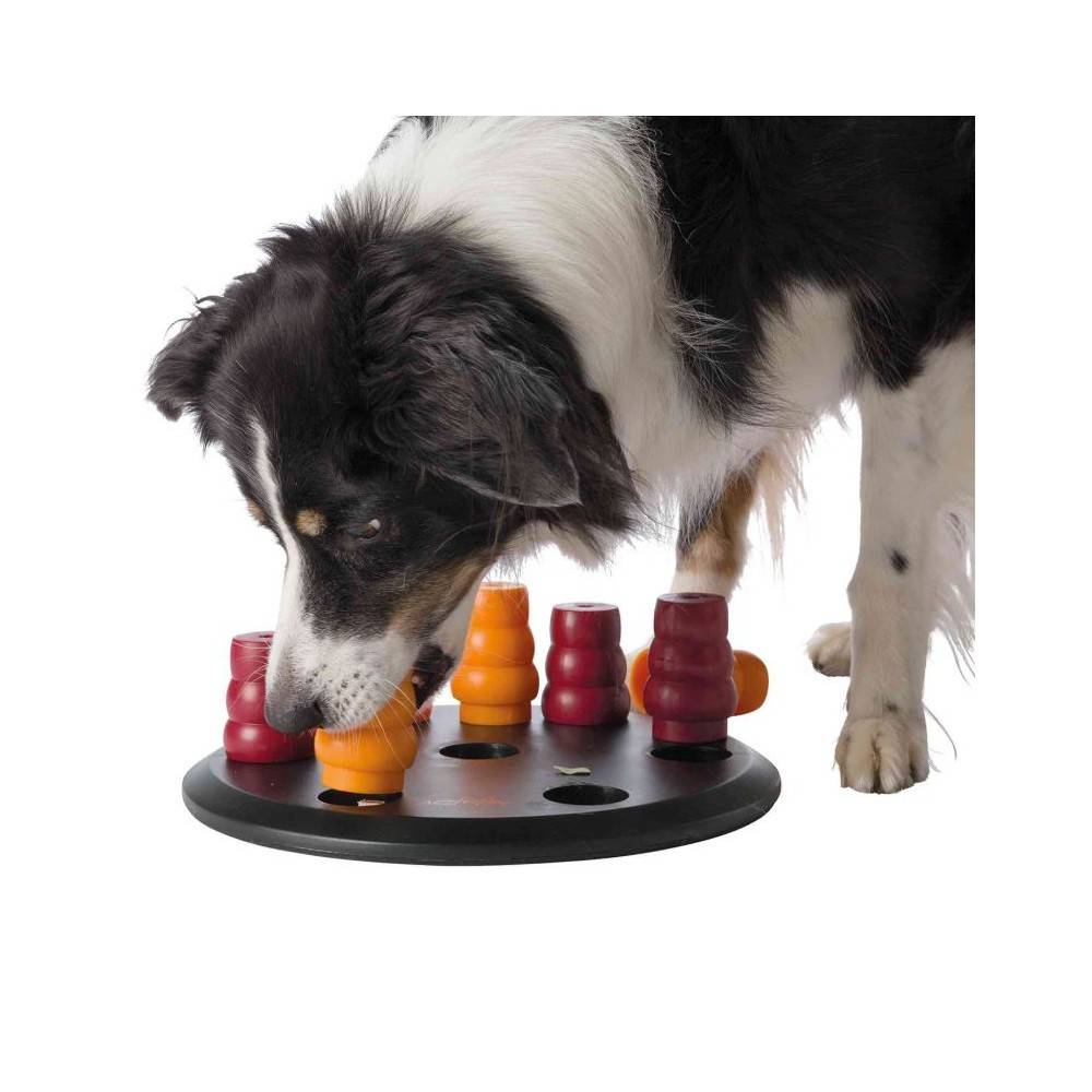 Juego Perro Trixie Solitario 1 para perros | Calvet Animales y Plantas