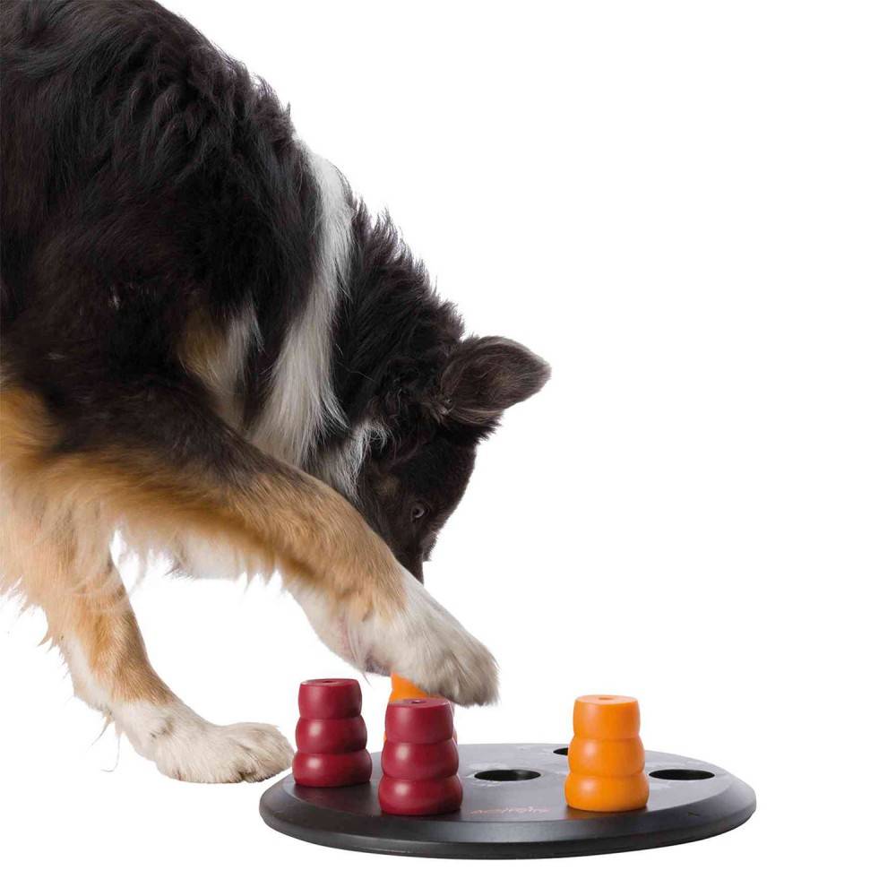 Joc Gos Trixie Solitari 1 per gossos | Calvet Animals i Plantes