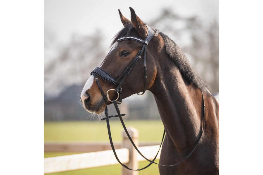 Brida Montar QHP Skye Negra