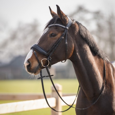 Morralla Muntar QHP Skye Negra