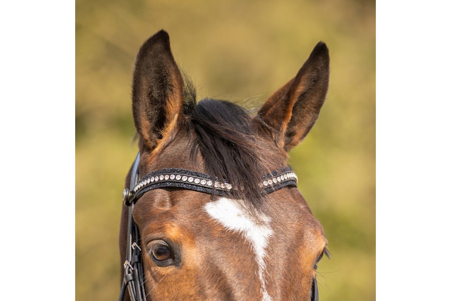 Brida Montar QHP Skye Negra