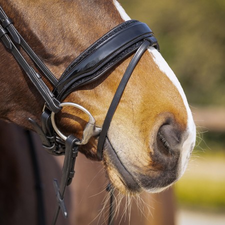 Morralla Muntar QHP Skye Negra