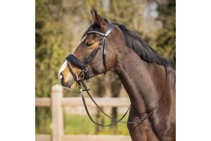 Brida Montar QHP Skye Negra