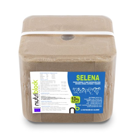 Block Selena 10Kg