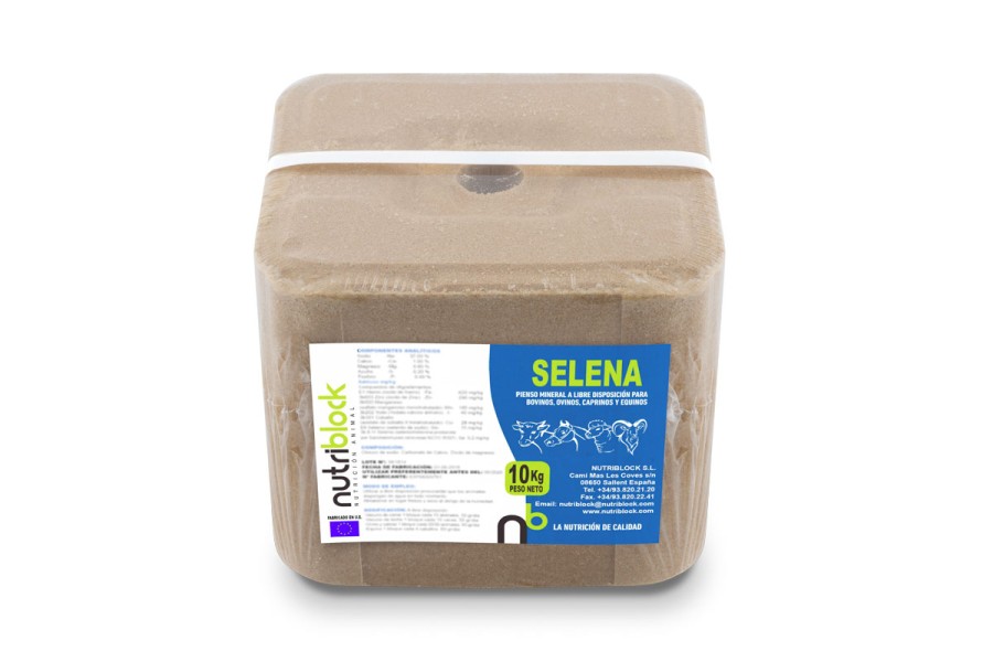 Block Selena 10Kg