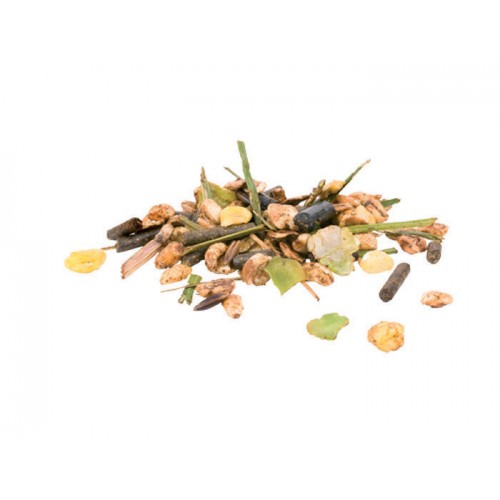 Pavo Sports Fit 15 Kg 2