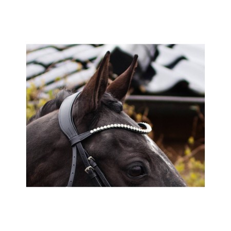 Brida Montar QHP Nehza Negra/Negra