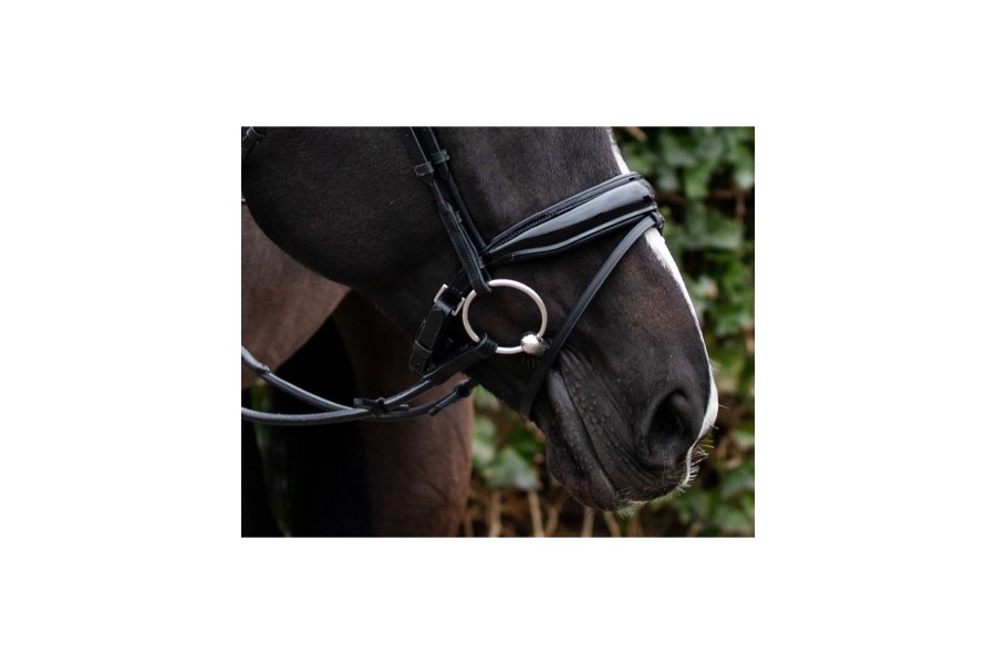 Brida Montar QHP Nehza Negra/Negra