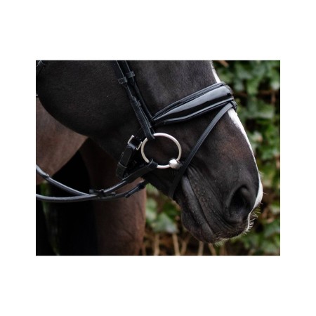 Brida Montar QHP Nehza Negra/Negra