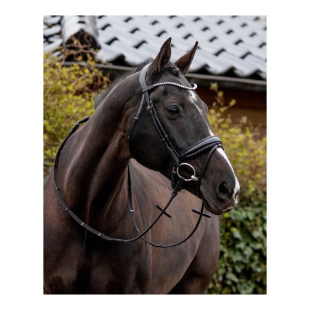 Brida Montar QHP Nehza Negra/Negra