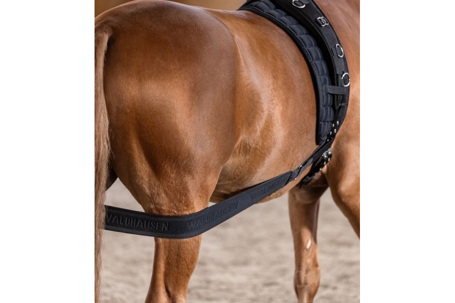 Banda Elástica Activación Posteriores Waldhausen Negro